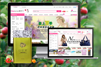 Т�г������̳�